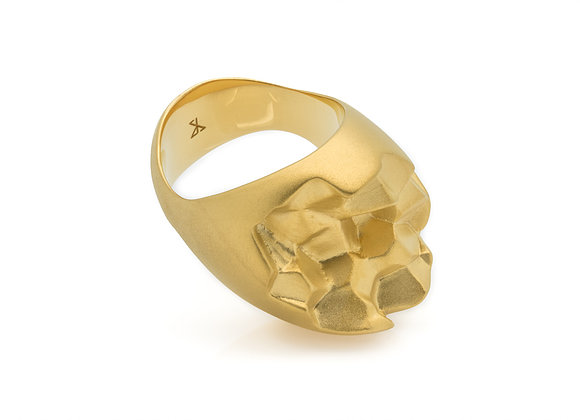 ROOK x GOLD ring side view