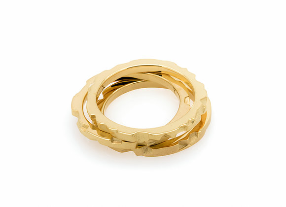 Tern x Gold parametric rings