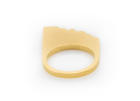 SHALE x GOLD designer ring